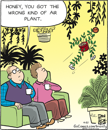 brevity
